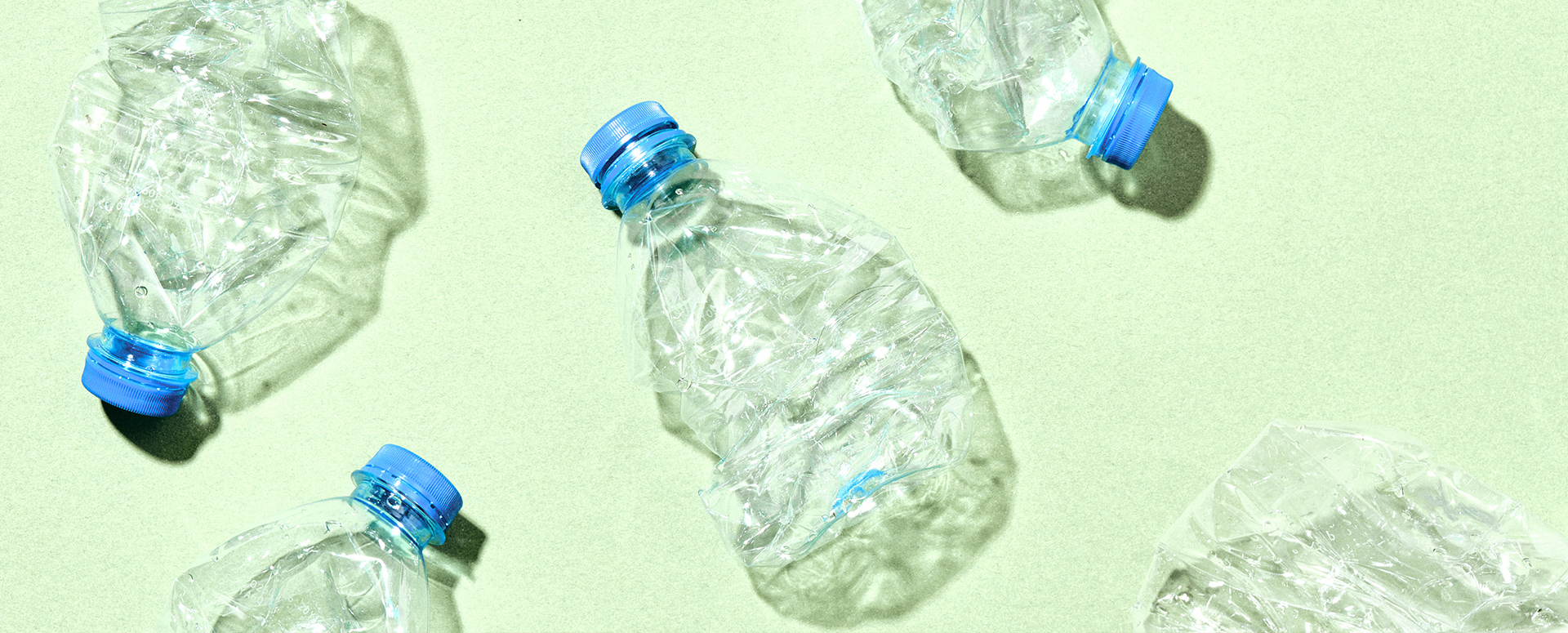 Sustainability